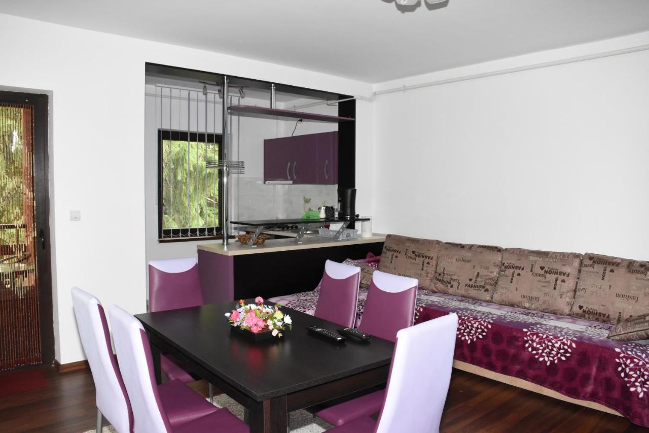Hotel Apartament ELDYA comfort&suites Predeal Exterior foto