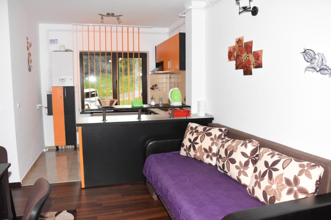 Hotel Apartament ELDYA comfort&suites Predeal Exterior foto